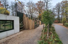 Image - Eichenfassade Tigergehege Naturzoo Rheine